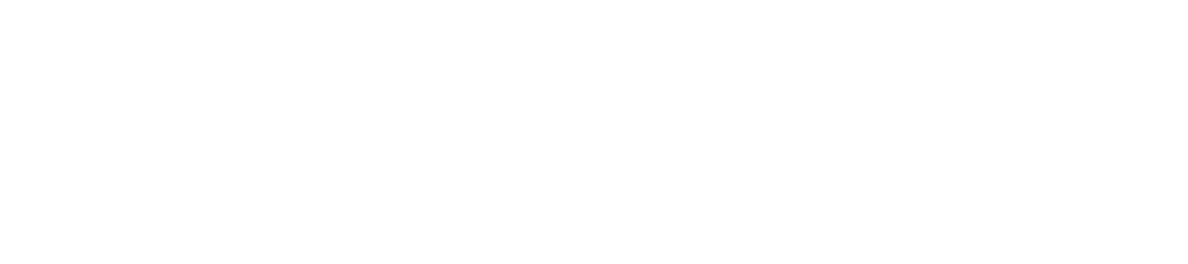 Funded by the EU Union logo